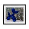 Stupell Industries Koons Sculpture Photography Framed Print Under Glass, design by Jeff Poe Photography